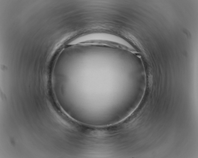 X0000090630444200708071249