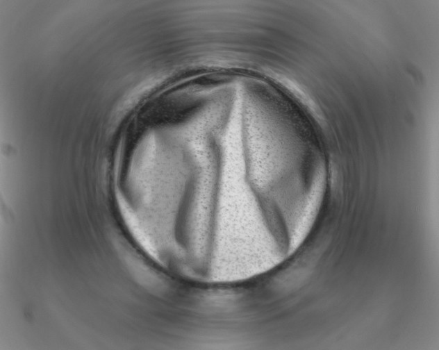 X0000090630445200708071249