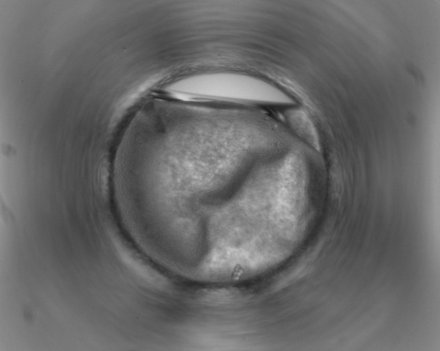 X0000090630446200708071249