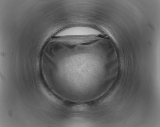 X0000090630447200708071249