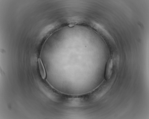 X0000090630448200708071249