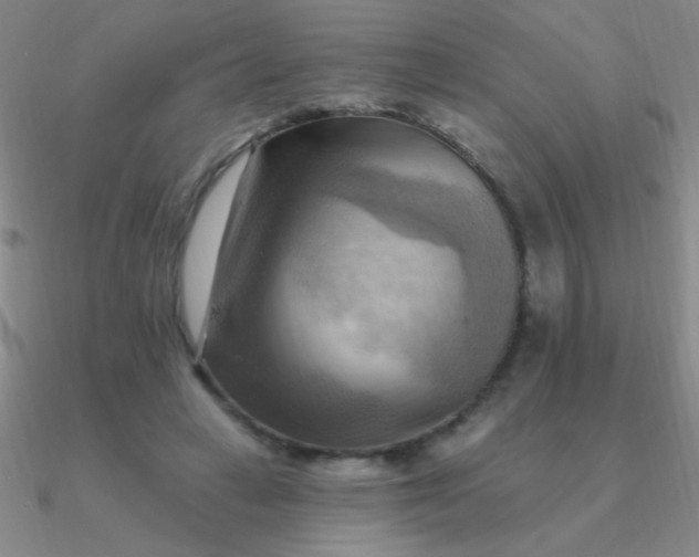 X0000090630449200708071249