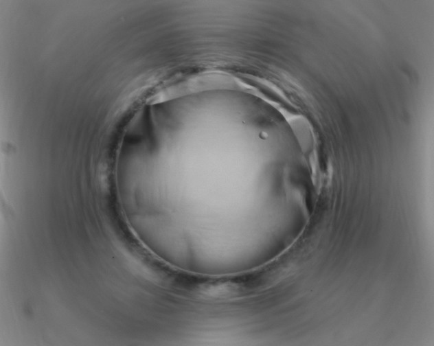 X0000090630452200708071249