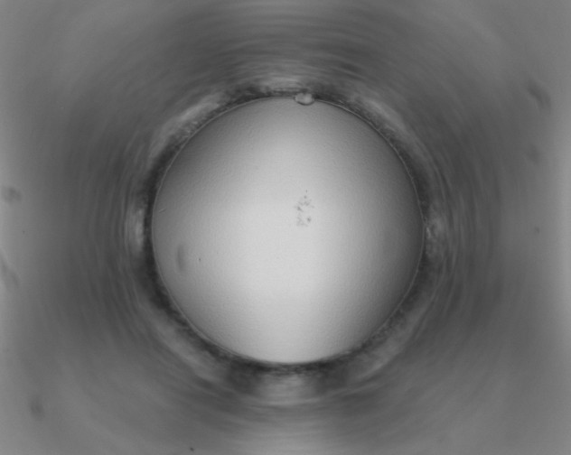 X0000090630454200708071249