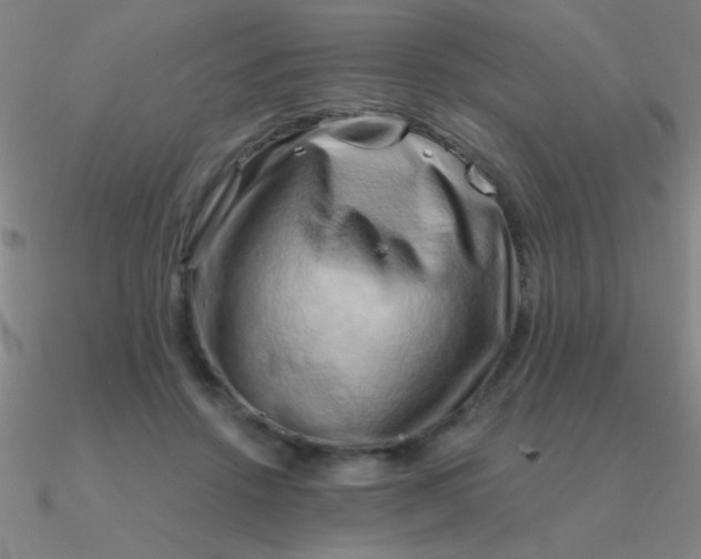 X0000090630456200708071249