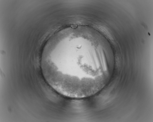 X0000090630457200708071249