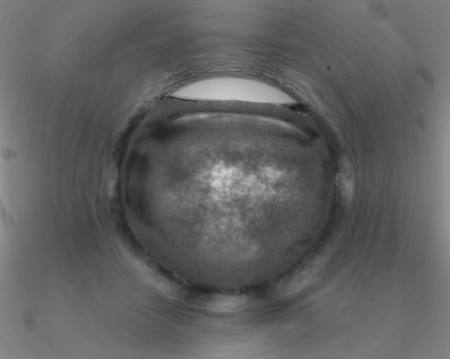 X0000090630458200708071249