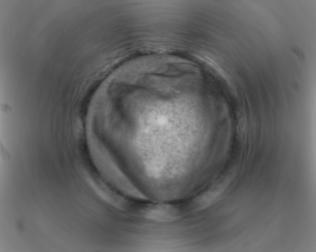 X0000090630459200708071249