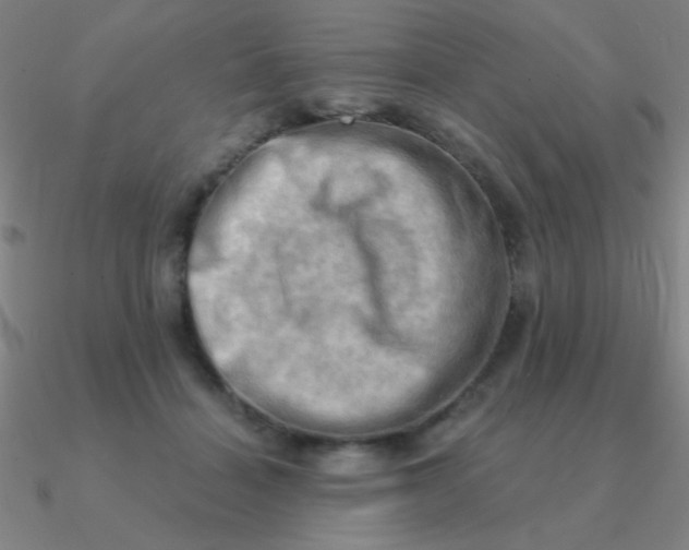 X0000090630460200708071249