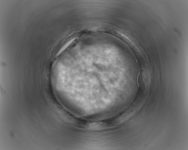 X0000090630461200708071249