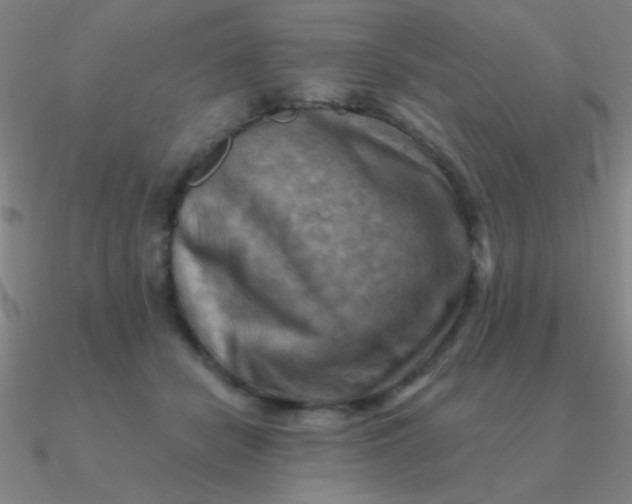 X0000090630462200708071249