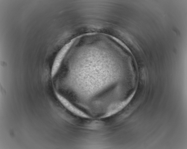 X0000090630463200708071249