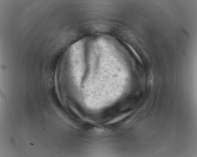 X0000090630464200708071249