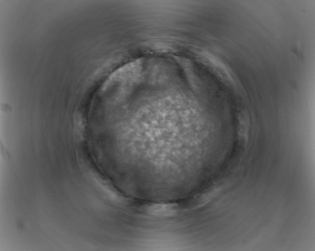 X0000090630465200708071249