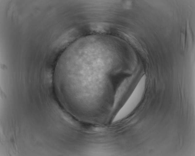 X0000090630466200708071249