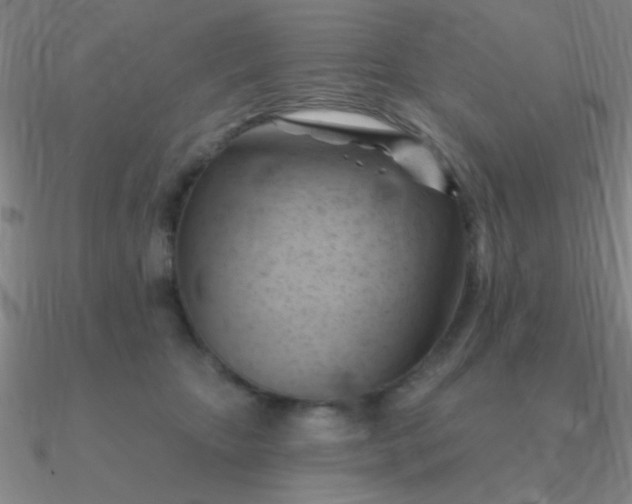 X0000090630467200708071249