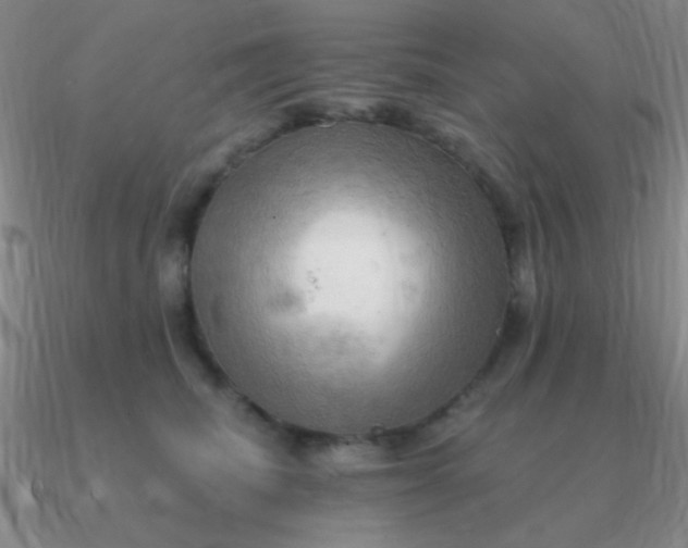 X0000090630468200708071249