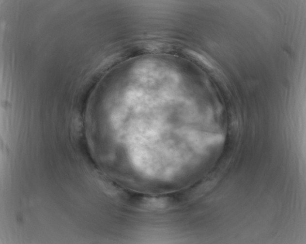 X0000090630469200708071249