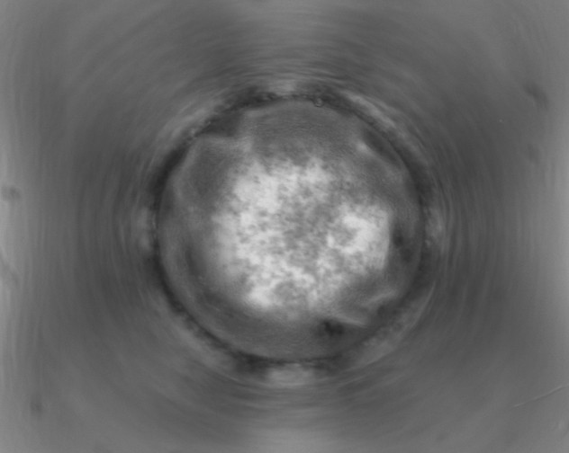 X0000090630470200708071249