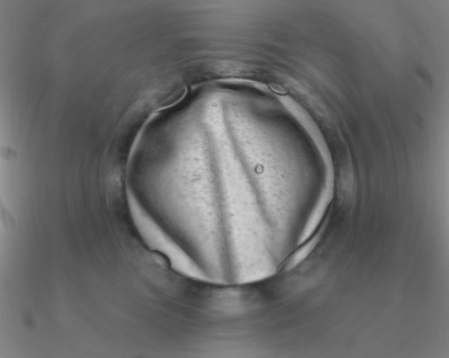 X0000090630473200708071249