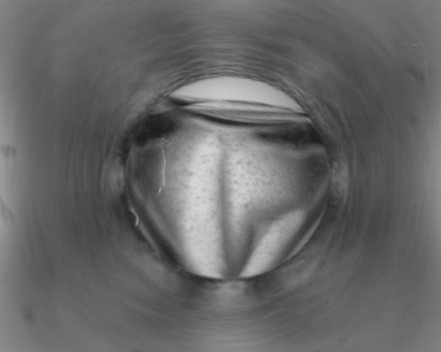 X0000090630474200708071249