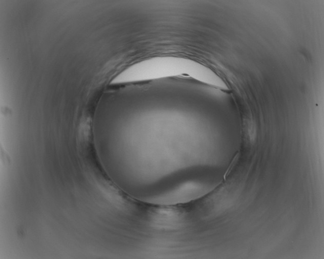 X0000090630475200708071249