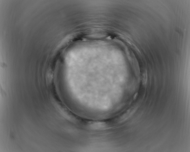 X0000090630476200708071249