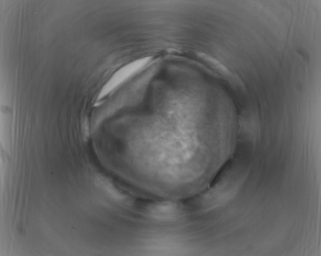 X0000090630479200708071249