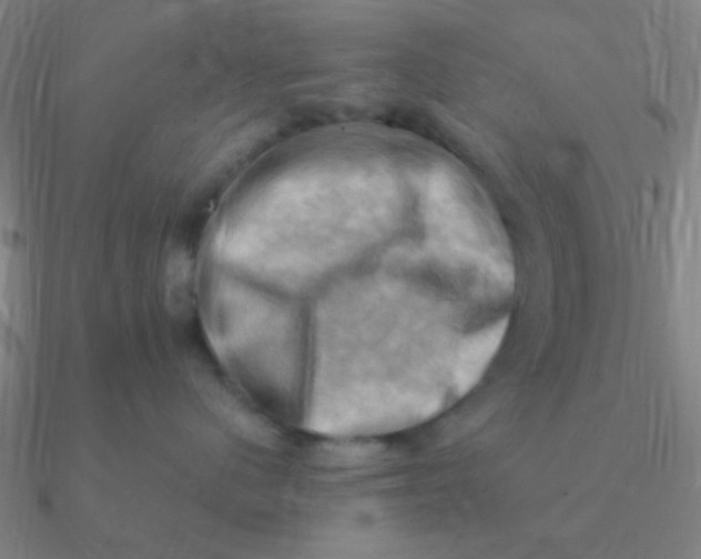 X0000090630480200708071249