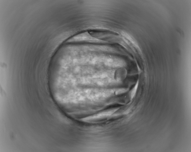 X0000090630481200708071249