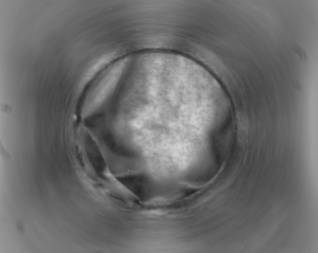 X0000090630482200708071249