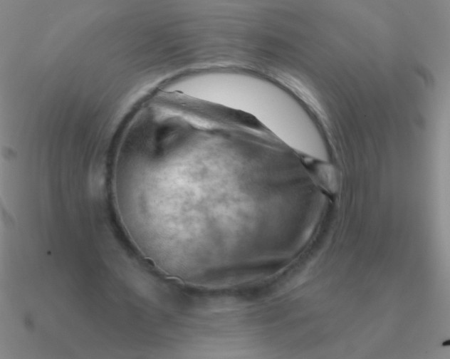 X0000090630483200708071249