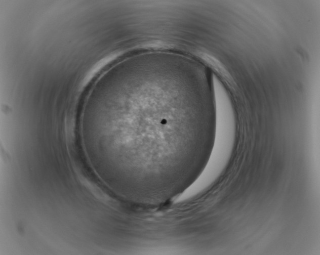 X0000090630484200708071249