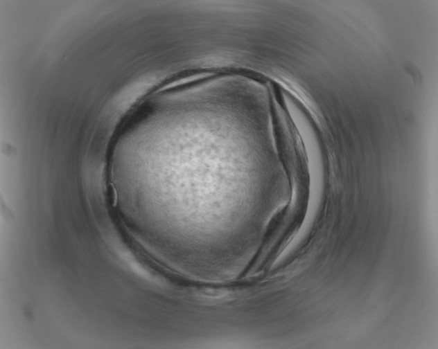 X0000090630485200708071249