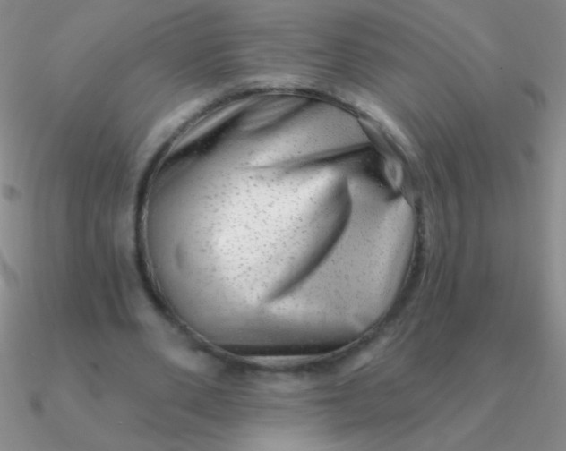 X0000090630486200708071249