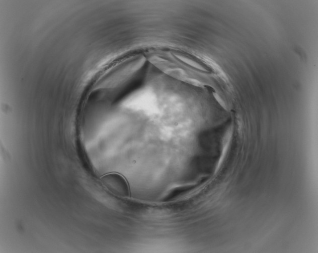 X0000090630487200708071249