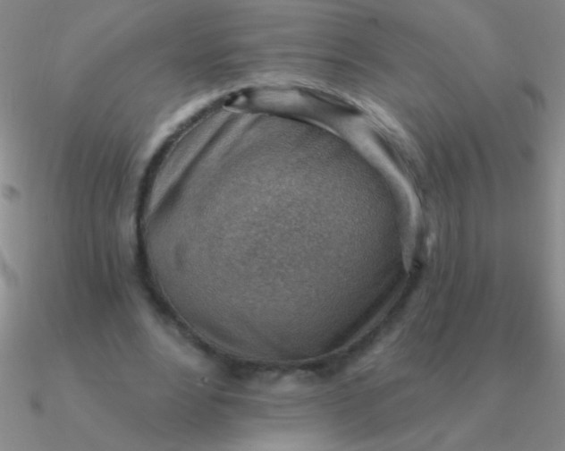 X0000090630488200708071249