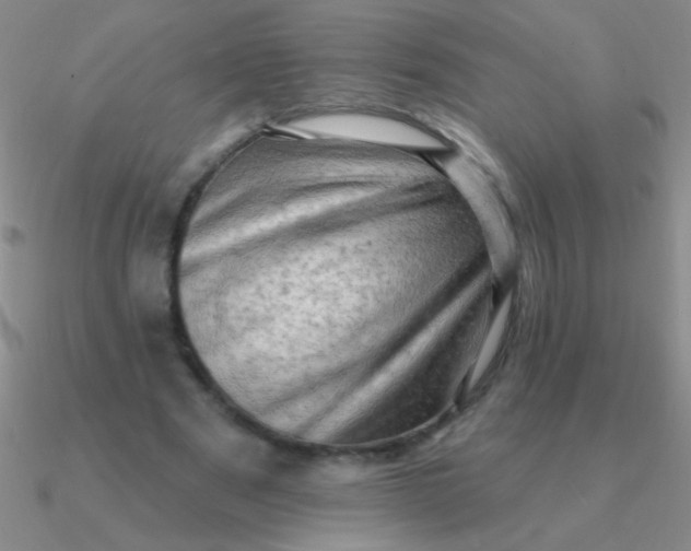 X0000090630489200708071249