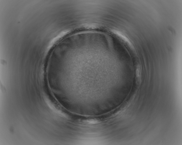 X0000090630492200708071249