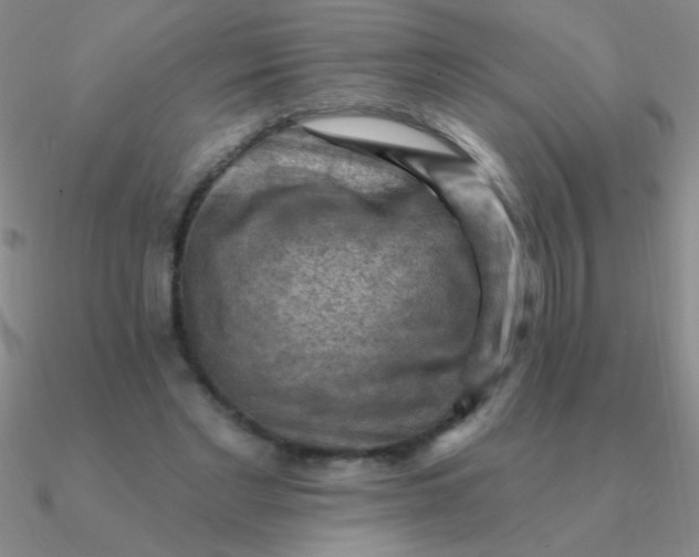 X0000090630493200708071249