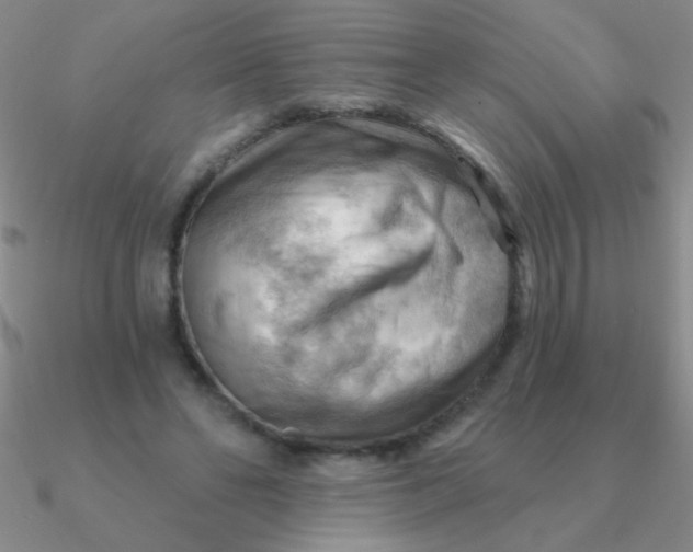 X0000090630494200708071248