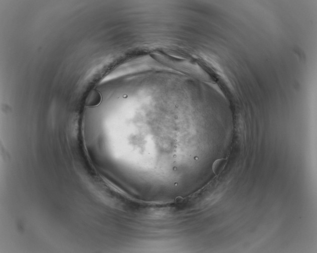 X0000090630495200708071248