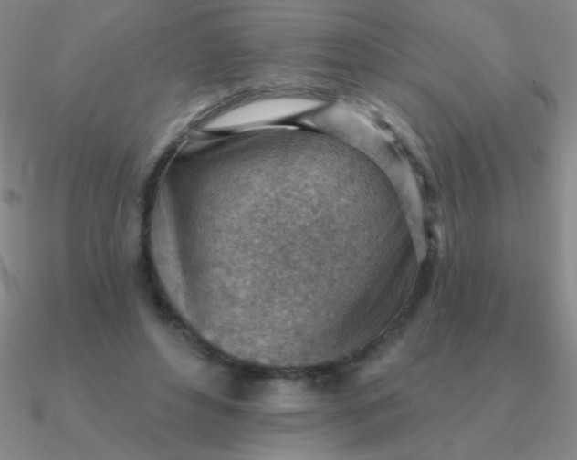 X0000090630496200708071248