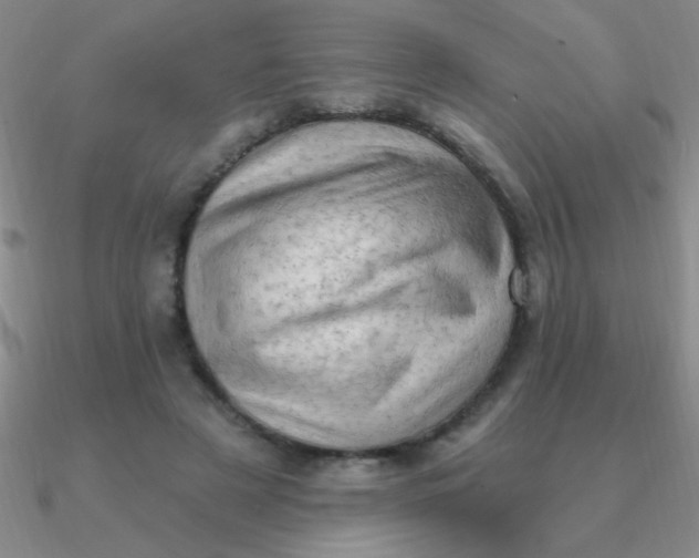 X0000090630497200708071248