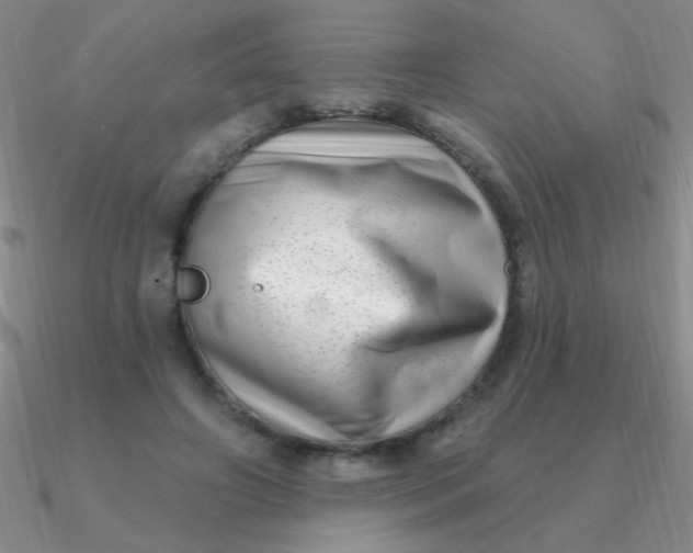 X0000090630498200708071248