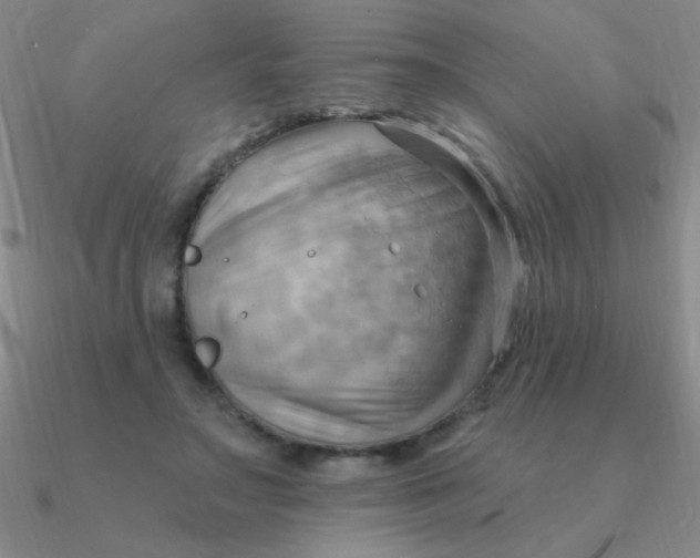 X0000090630499200708071248