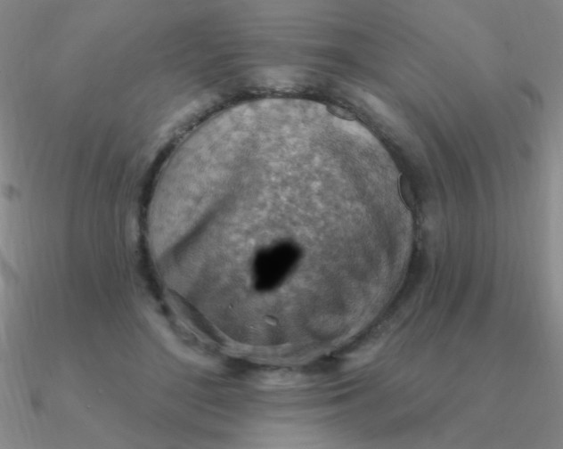 X0000090630500200708071248