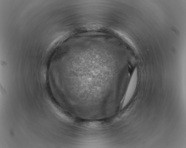 X0000090630501200708071248