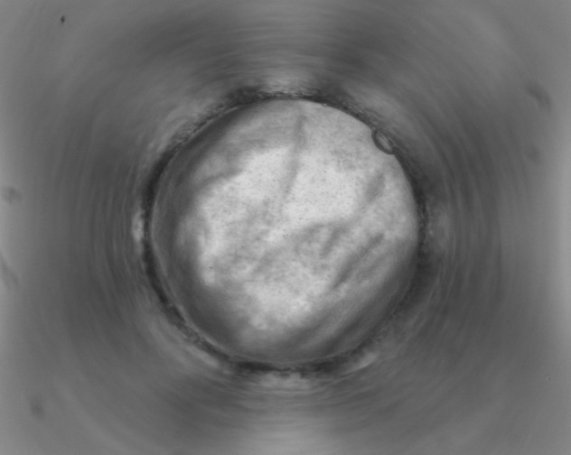 X0000090630502200708071248