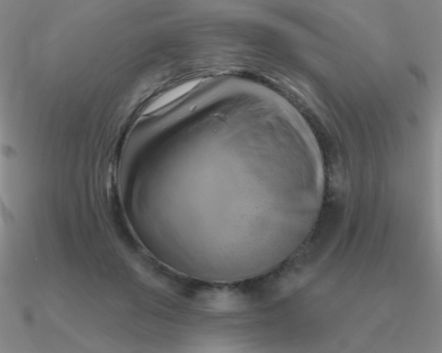 X0000090630503200708071248